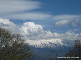 rrente Saracena-26-04-2014 21-35-25